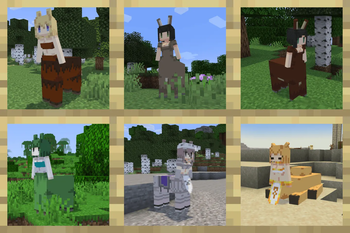 Animals 4