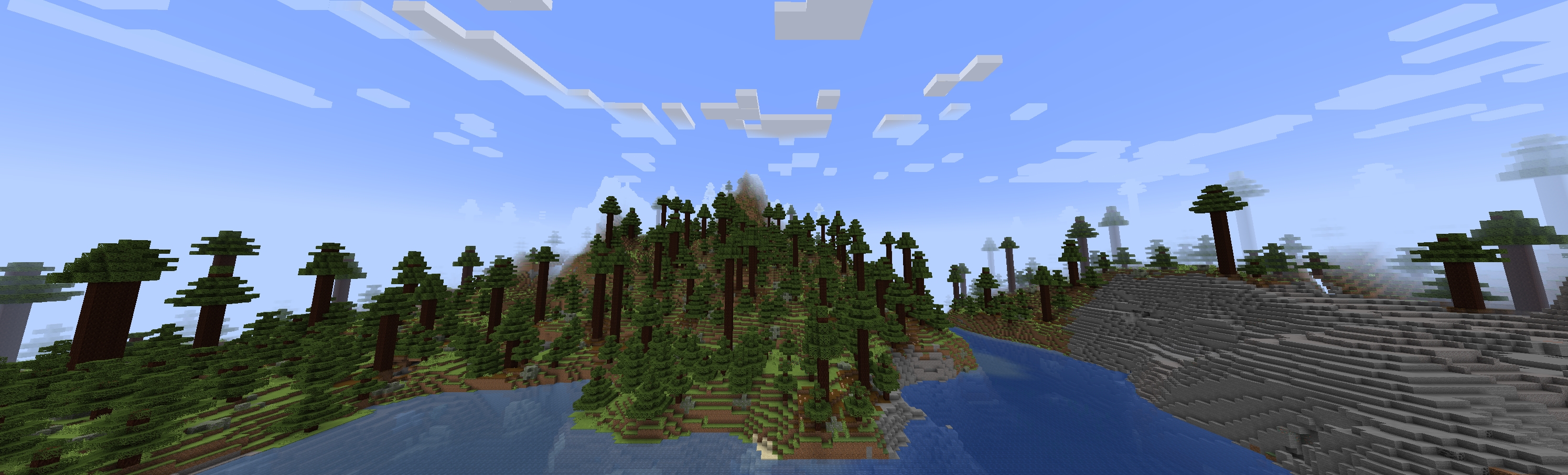 sequoia forest