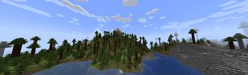 Seqouia Forest