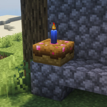 Happy Birthday! Have a chocolate cake!