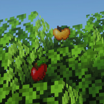 Apples