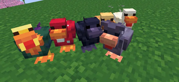 Chickens
