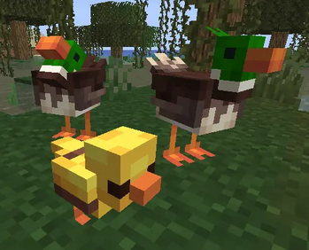 DUCKS!!