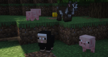 Baby Farm Animals!