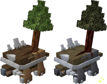 Redwood