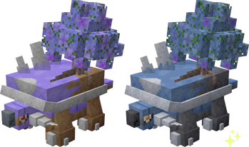 Jacaranda