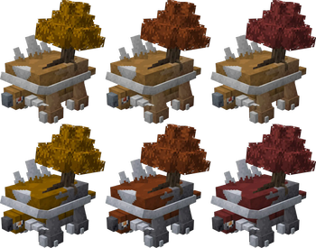 Maple