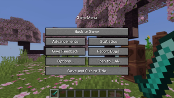 The pause menu