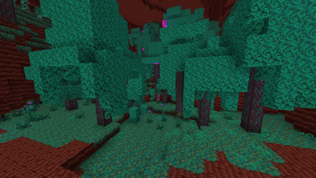 warped forest