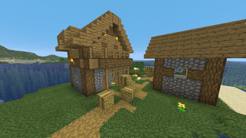 village
