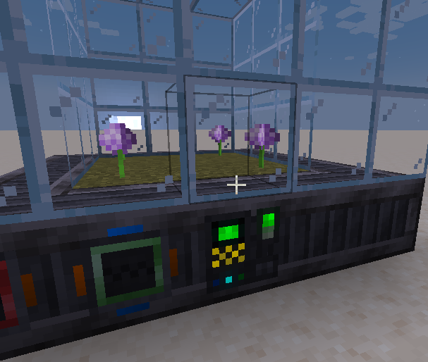 Greenhouse growing alliums