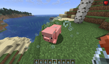 Splashing a pig with care.