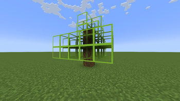 oak tree