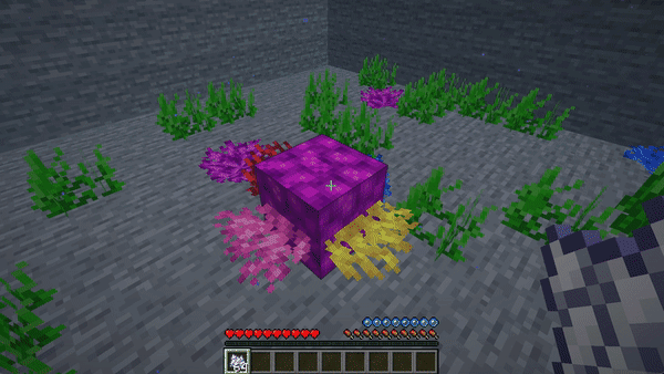 Coral Growth