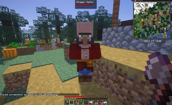 villager visitor
