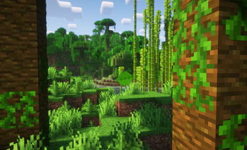 Jungle leaves