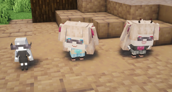 Studysama & Plushies