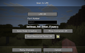 Open to LAN Screen