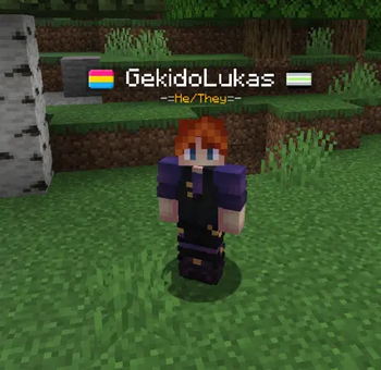 Flags and pronouns displayed above the player