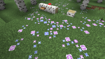Wilder flowers