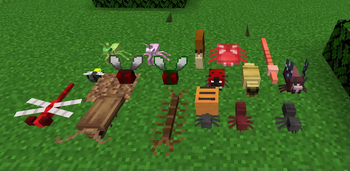 A bunch of insects, from the center