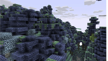Shrouded Forests
