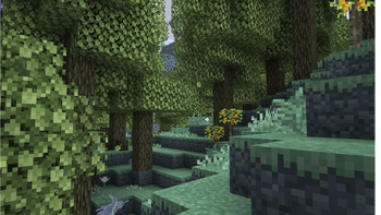 Verdant Woods