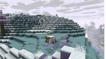 Sheer Tundra