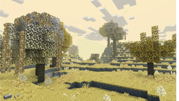 Contaminated Jungle