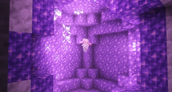 The Jewel Pokemon