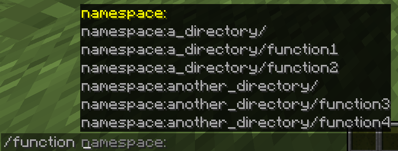 Function autocompletion