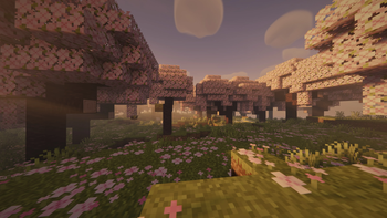 Cinematic - Pink