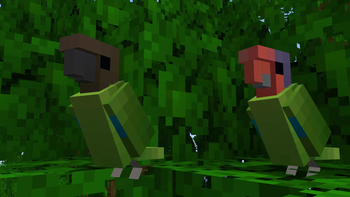 Red-Cheeked Parrots