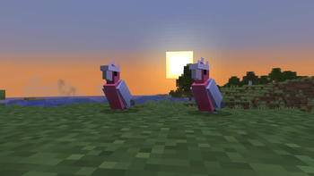 Galah