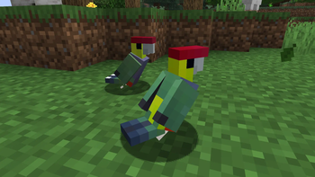 Red-Capped Parrots