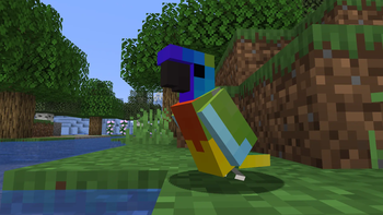 Scarlet Chested Parrot