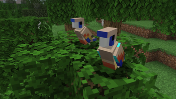 Greater Blue Bonnets