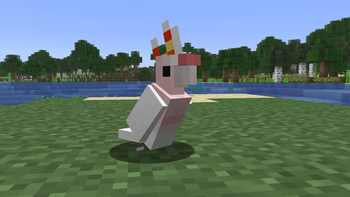 Pink Cockatoo