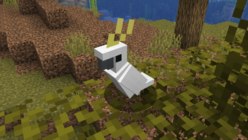 Sulfur Crested Cockatoo