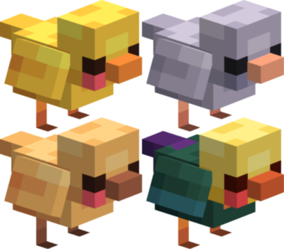 Chicks