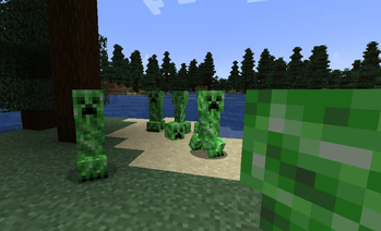 the actual pack