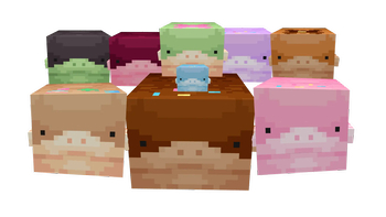 Clodsire Variants