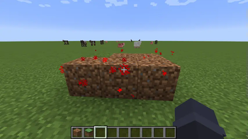 Proof of Concept