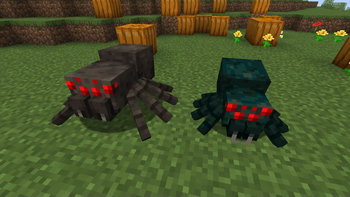 Spider and Pixel-Consistent Cave Spider