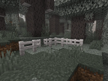 Pale Oak - Before