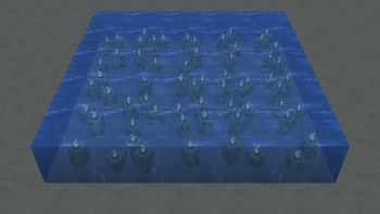 Alive Sea Pickles