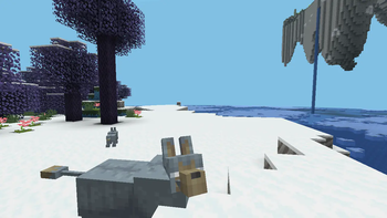 Wolfflue and Floating Islands