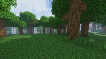 Forest with shaders