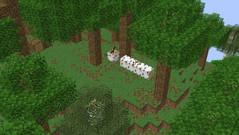 Improves fallen log visibility