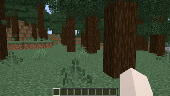 Taiga biome